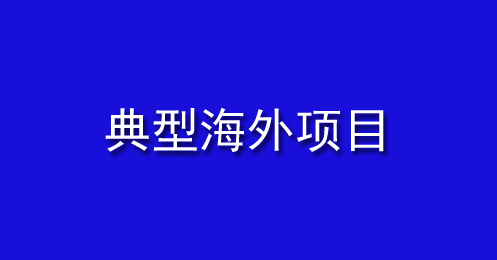 典型海（hǎi）外項目（mù）